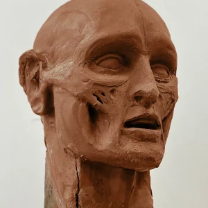 Atelier Adultes - 20 Mai